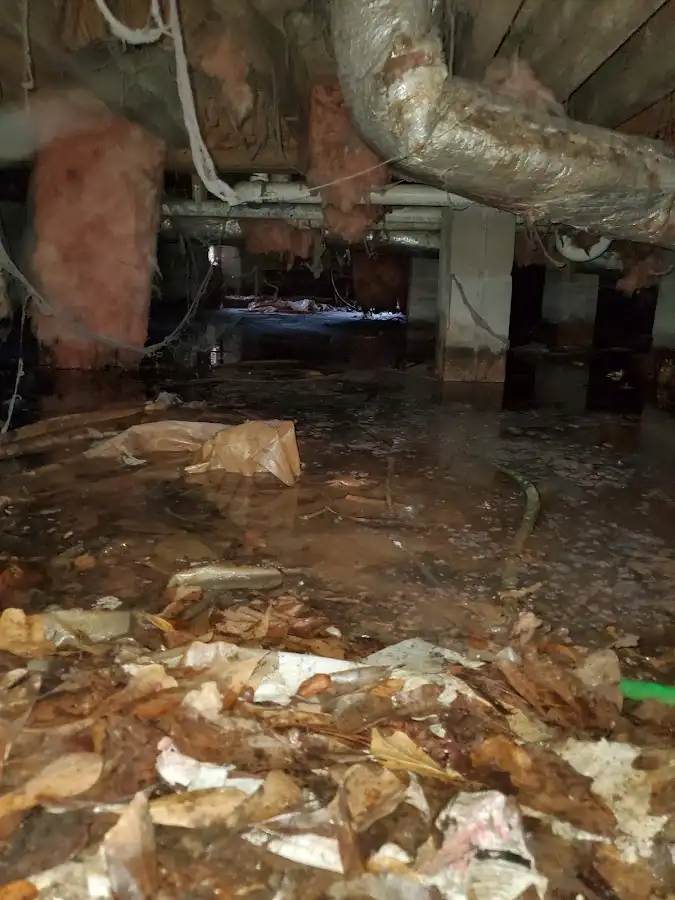 Crawl space flood assessment for Leak Detection & Repair in Safford